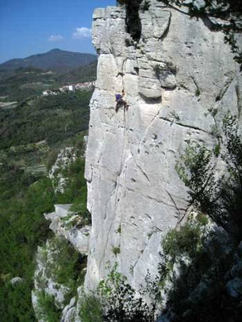 27874731-8da0-48bc-8cdc-4035330858b3